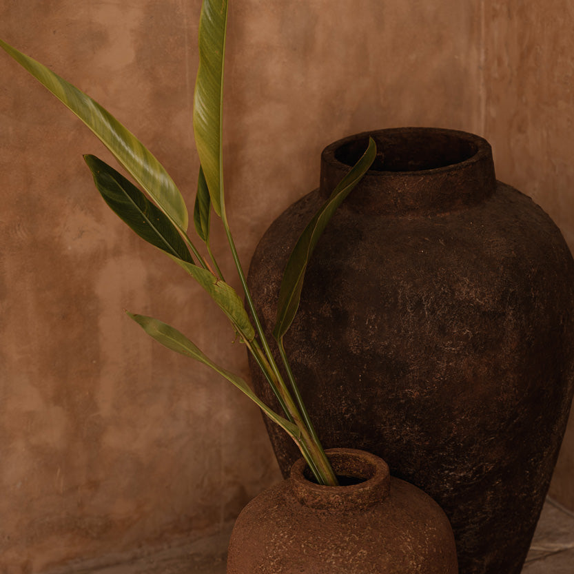 Two rustic vases with a plant against a brown wall