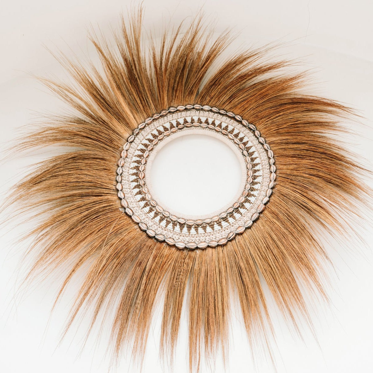 THE RAYUNG SHELL HOOP Wall Decor front view interior view