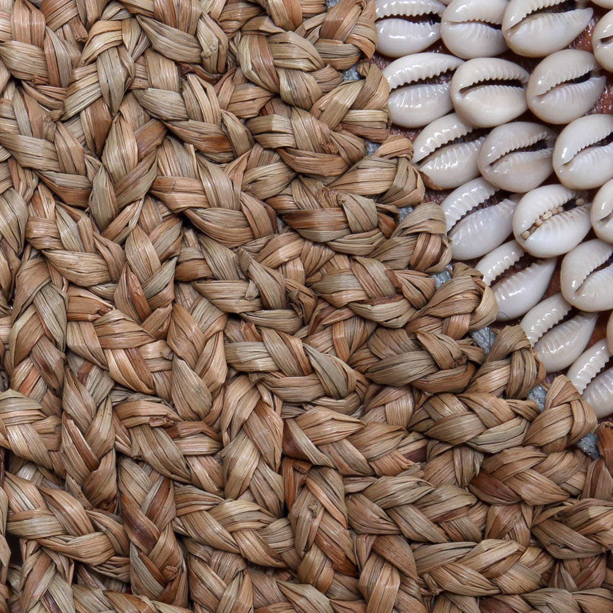 THE LOVELY COASTAL Wall Decor macro view front view