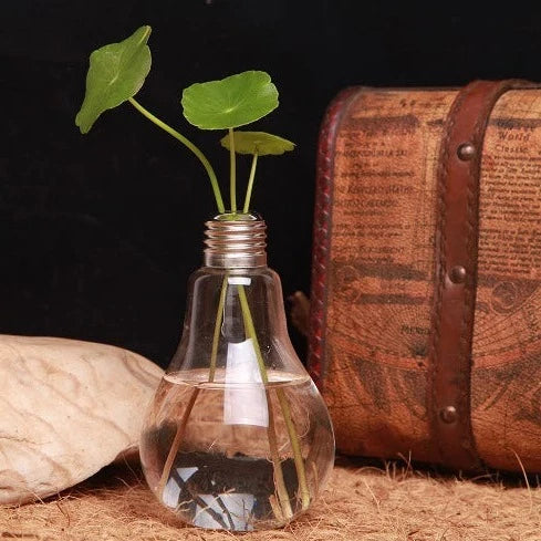 Lampadina Vaso per fiori idroponici in vetro trasparente