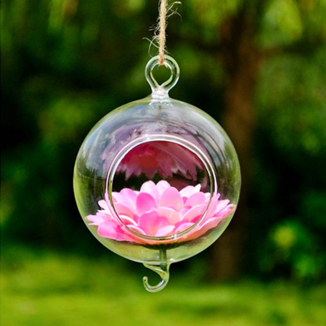 Portapiante in vetro borosilicato alto