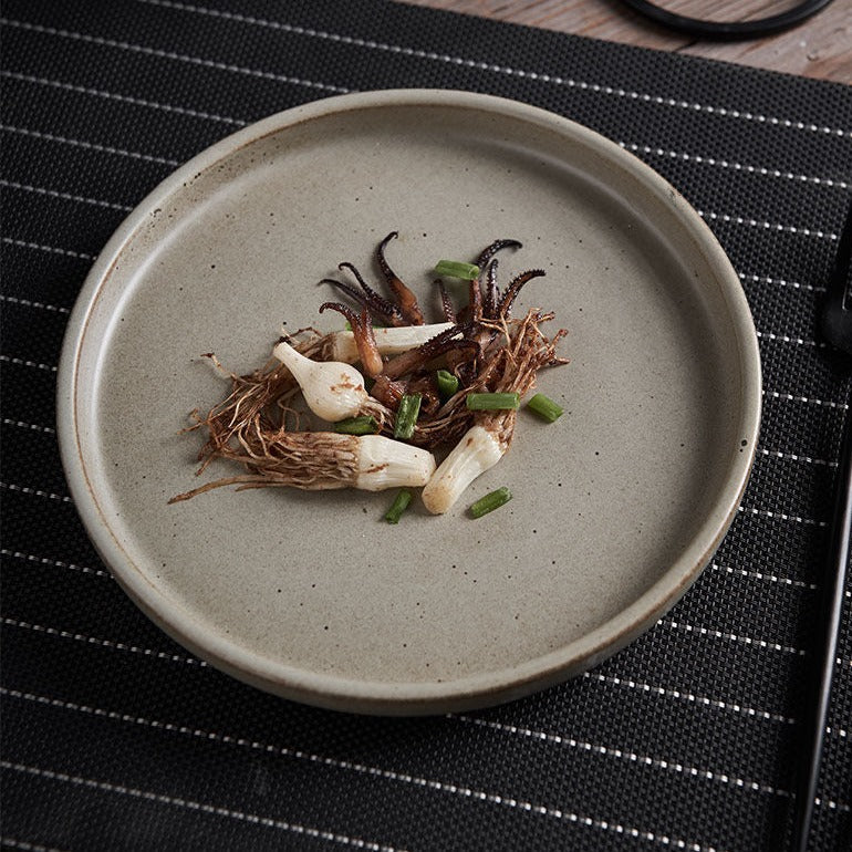 Piatto di ceramica grezza retrò in stile semplicità giapponese