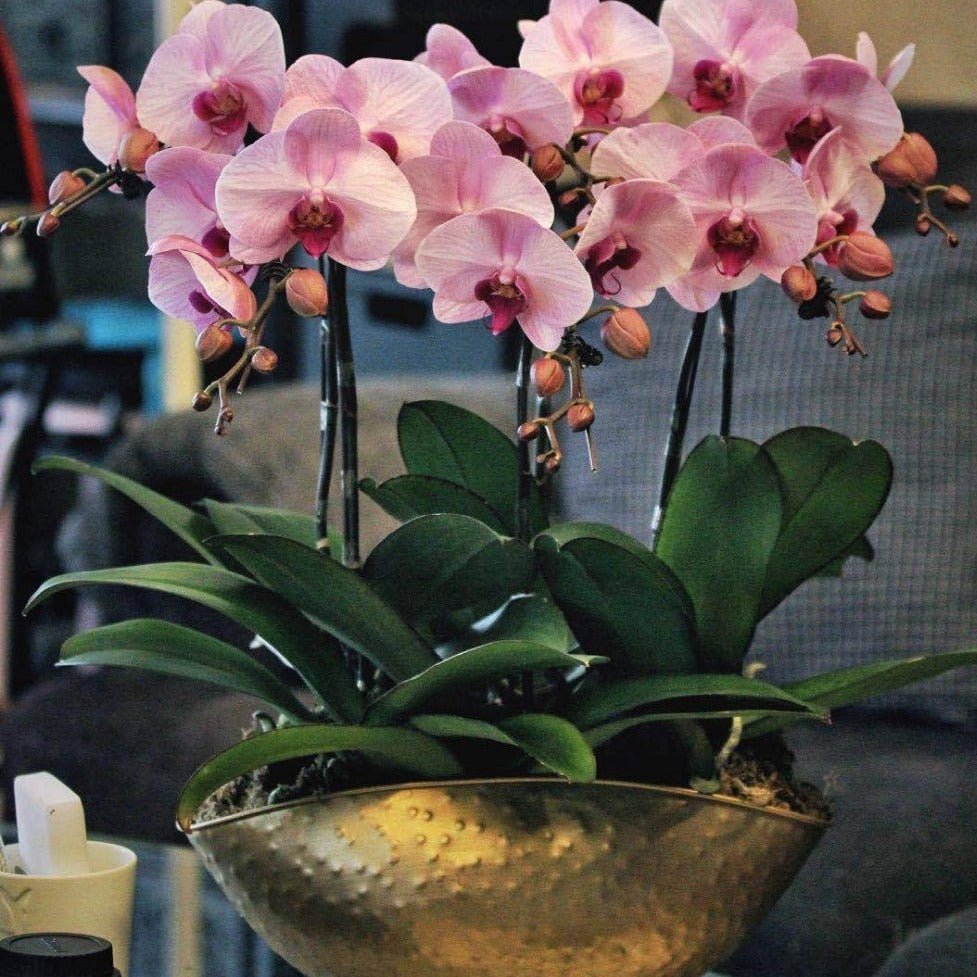 Vaso da fiori in ferro dorato fatto a mano