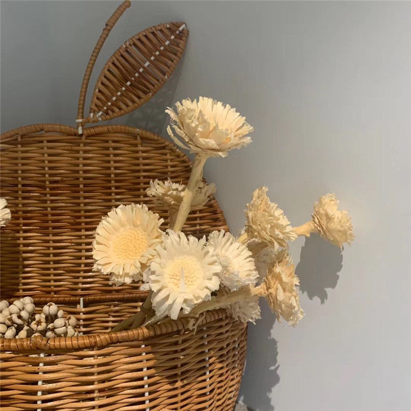 Cesto di stoccaggio a forma di mela e pera in rattan vintage