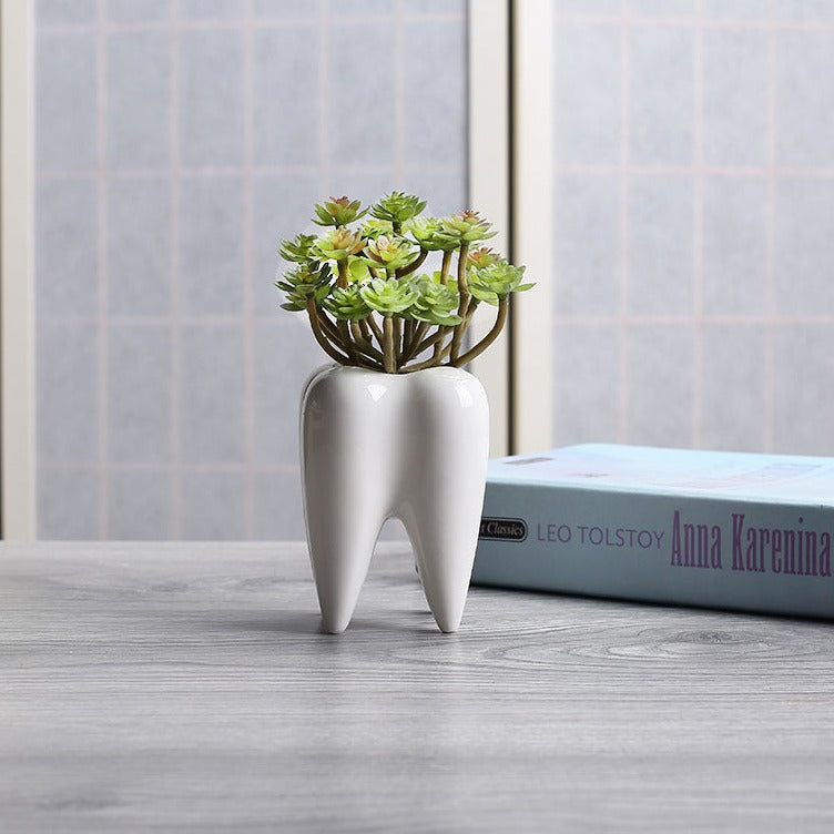 Vaso creativo in ceramica per piante grasse