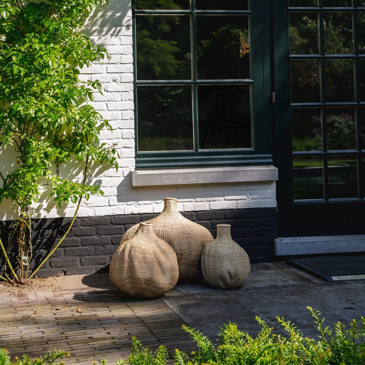 THE GARLIC Basket 30 set outdoor view