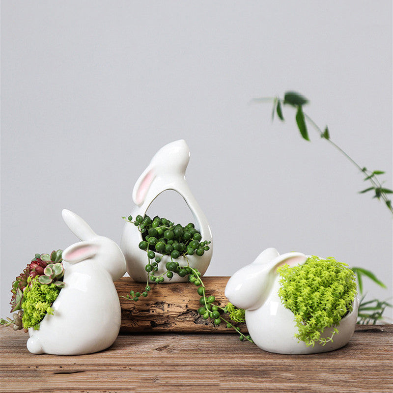 Vaso di fiori di conigli dei cartoni animati Succulente